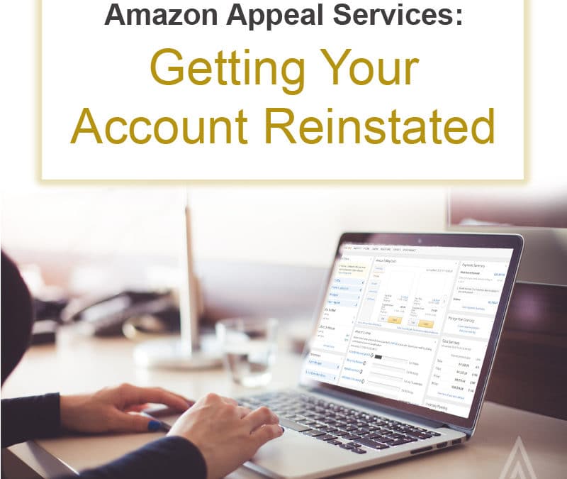 Amazon Appeal Services: Getting Your Account Reinstated